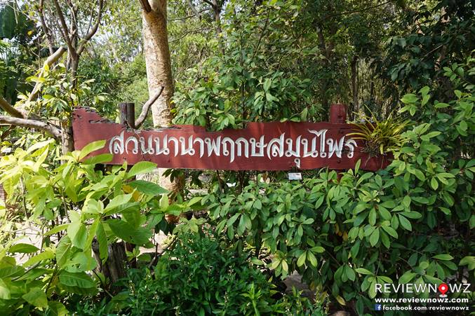 สวนนานาพฤกษสมุนไพร