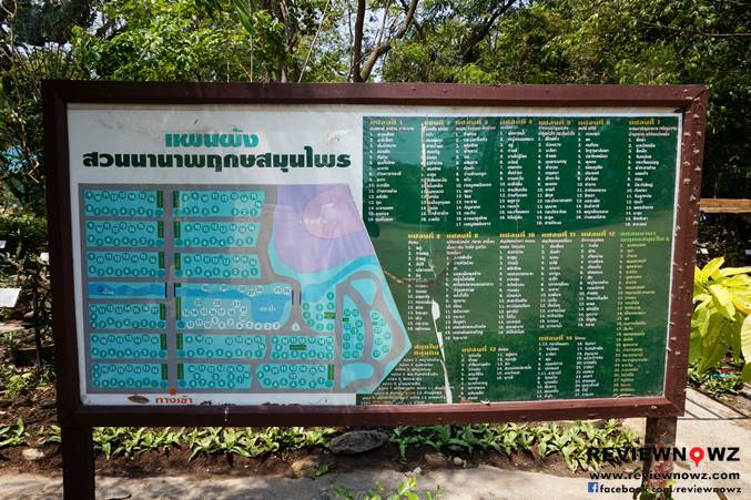 Somdet Phra Srinagarindra Park Sam Phraya Phetchaburi 17