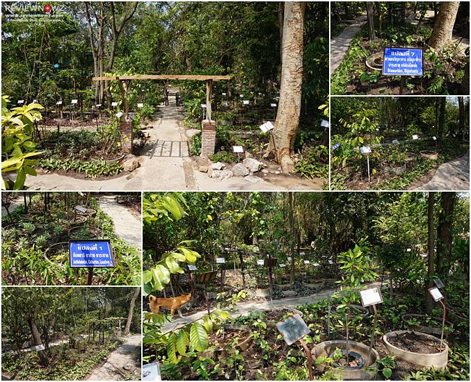 สวนนานาพฤกษสมุนไพร 2
