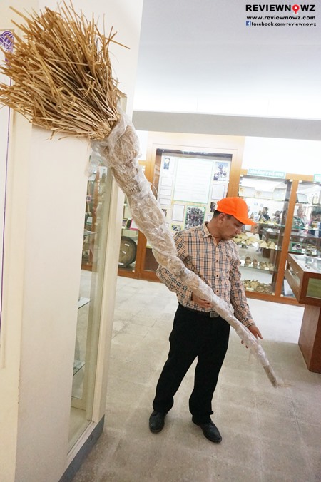 การใช้ประโยชน์จากหญ้าแฝก