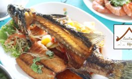 นั่งริมแม่น้ำวังโตนดที่ร้าน เรือนริมน้ำซีฟู๊ด จังหวัดจันทบุรี