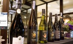 Handpicked Wine Dinner มื้อค่ำกับอาหารจีนคู่กับไวน์ 6 ตัวที่ The Mayflower, Dusit Thani Bangkok