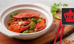 COCA ก้าวสู่ 3rd Generation อย่างเต็มตัวเริ่มที่แรกที่ CentralWorld