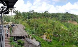 นั่งจิบเบียร์ชมวิวนาข้าวขั้นบันไดอันเลื่องชื่อ Tegalalang Rice Terraces ของอินโดนีเซีย ที่ Surya Terrace Cekingan @ Bali