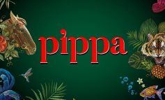 จิบค็อกเทลชมพระอาทิตย์ตกริมทะเลที่รูฟท็อปบาร์กระแสแรงที่สุดในพัทยาที่ PIPPA Sunset Bar @ Mytt Beach Hotel Pattaya