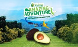 ฟรี ลุ้นบินลัดฟ้าพาทัวร์เที่ยวนิวซีแลนด์ 5 วันกับ New Zealand Avocado Amazing Adventure 2019