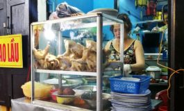 30 ปีกับร้านข้าวมันไก่เวียดนามเจ้าดังในฮอยอัน Cơm gà Nga @ Hội An Vietnam