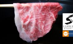 ขายจำนวนจำกัดต่อวัน! Delivery ชาบูเนื้อ Miyazaki Wagyu สุดนุ่มเกินคุ้มที่ร้าน Siamese Studio x Fat Cow @ พระราม 9