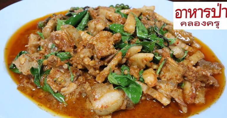 หมูป่าผัดเผ็ดอร่อยระดับประเทศ! กับตำนานอาหารป่า 50 ปีแห่งตำบลท่าทรายที่ร้านอาหารป่าคลองครุ @ สมุทรสาคร