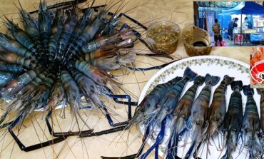 เดินเลือกกุ้งแม่น้ำเป็นๆพร้อมย่างให้ฟรีที่ บ้านกุ้ง ย่างกุ้งรัชดา @ ประชาราษฎร์บำเพ็ญ