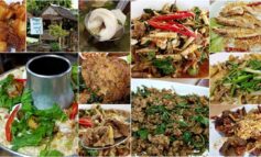 อาหารป่าอร่อยถึงเครื่อง ฝีมือหาตัวจับยากที่ร้าน ครัวสมเกียรติอาหารป่า @ สะพานพระราม 5