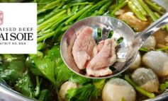 ชิมเมนูใหม่ล่าสุดของตำนานร้านก๋วยเตี๋ยวเนื้ออายุเกือบ 50 ปีที่ ก๋วยเตี๋ยวเนื้อนายโส่ย (เจ้าเก่า) ท่าพระอาทิตย์
