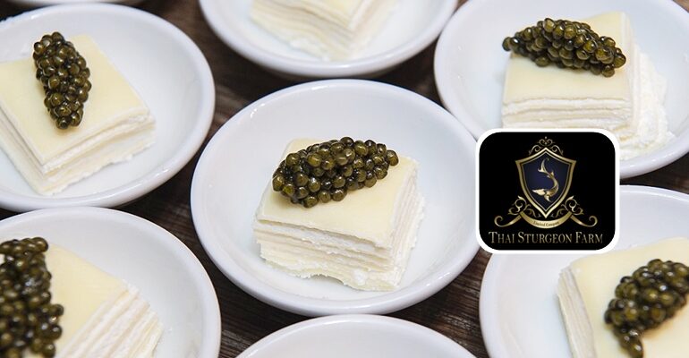 ครั้งแรกในประเทศไทยกับ Caviar Masterclass เรียนรู้ไข่ปลาคาเวียร์กับ Thai Sturgeon Farm