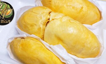 ชิม "นกกระจิบ" ทุเรียนพันธุ์พื้นเมืองของไทยที่ พีพี ทุเรียน สาขาแจ้งวัฒนะ 14